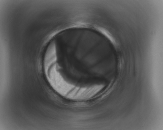 X0000111471455200908101105