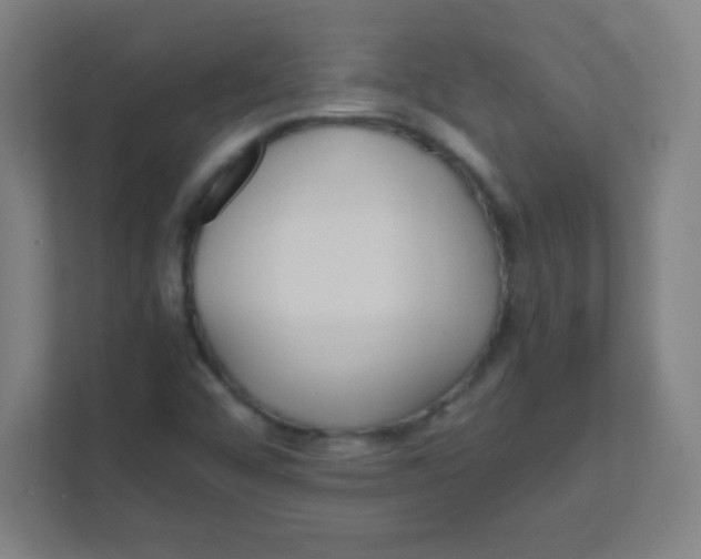 X0000111471456200908101105