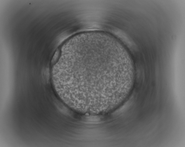 X0000111471457200908101105