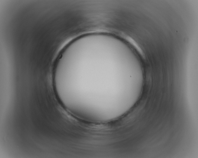 X0000111471460200908101105