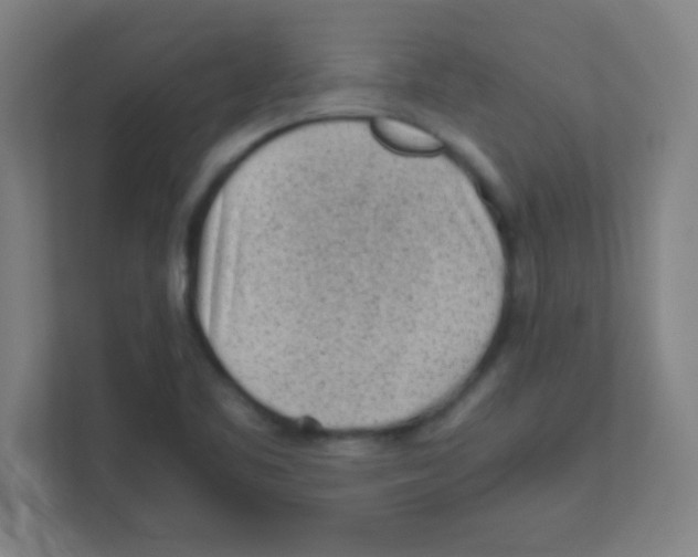 X0000111471461200908101105