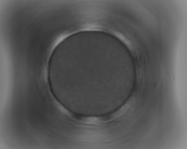 X0000111471463200908101105