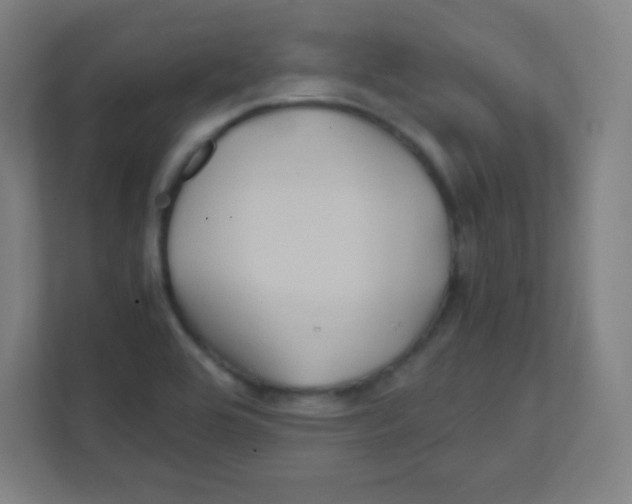 X0000111471464200908101105