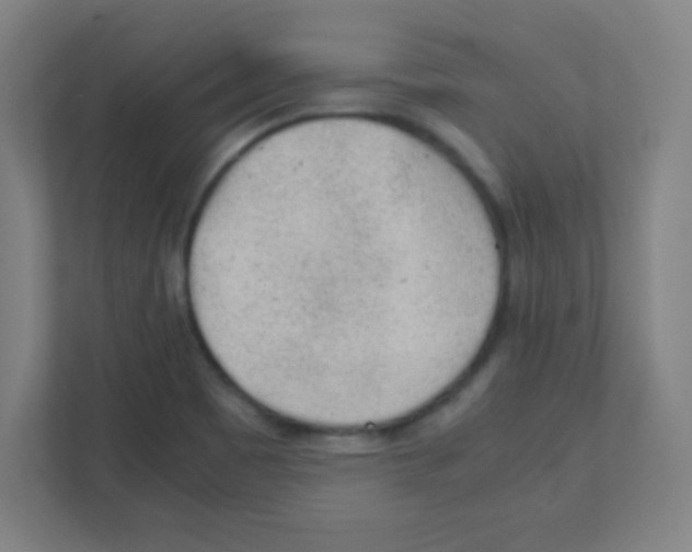 X0000111471465200908101105