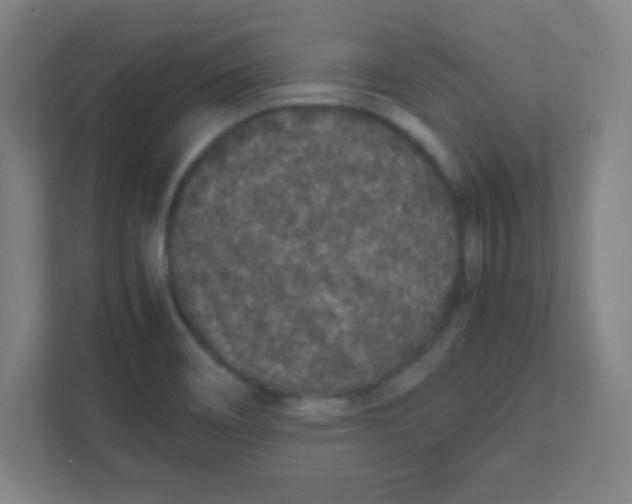 X0000111471466200908101105