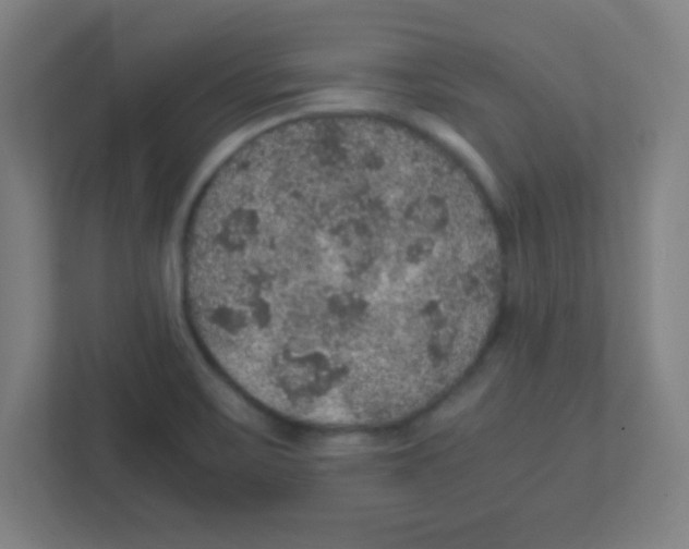 X0000111471467200908101105