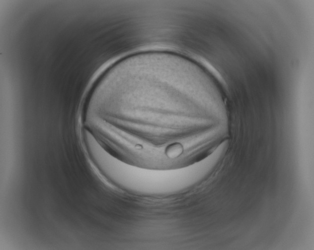 X0000111471468200908101105