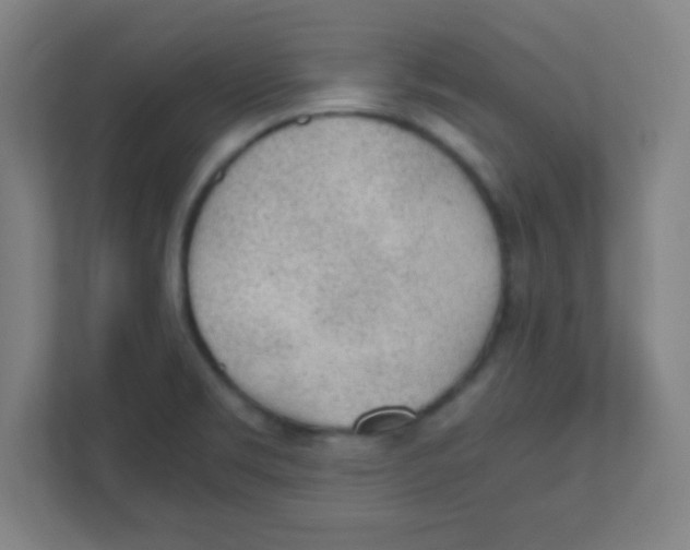 X0000111471469200908101105