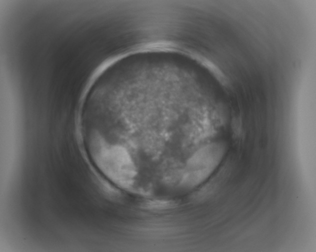 X0000111471470200908101105