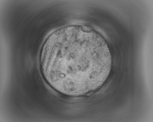 X0000111471471200908101105