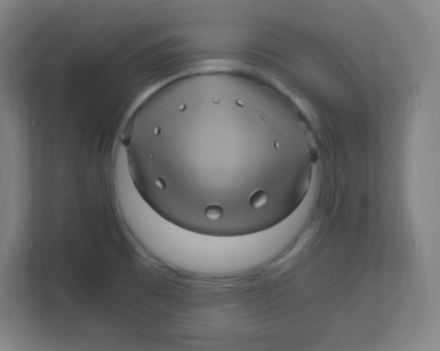 X0000111471473200908101105