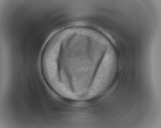 X0000111471475200908101105