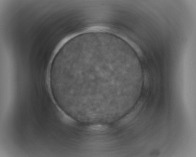 X0000111471478200908101105