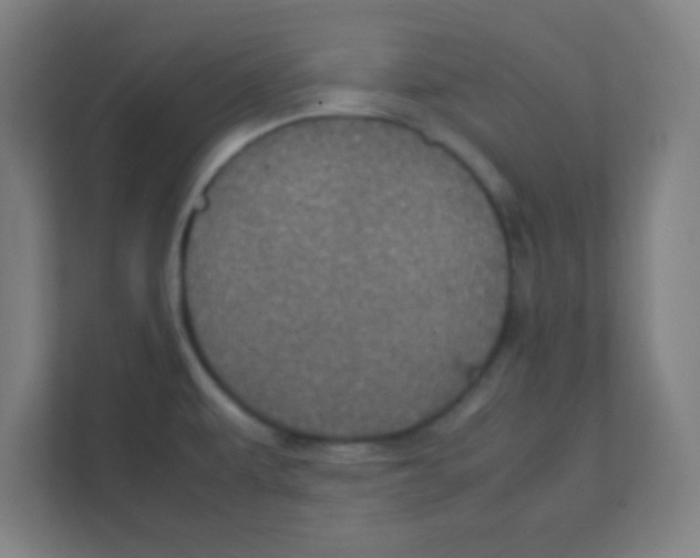 X0000111471479200908101105