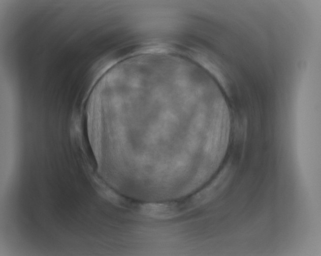 X0000111471481200908101105