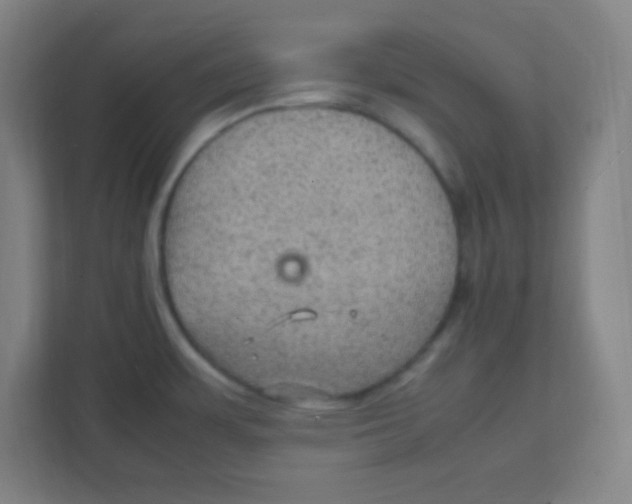 X0000111471483200908101105