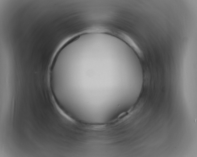 X0000111471484200908101105