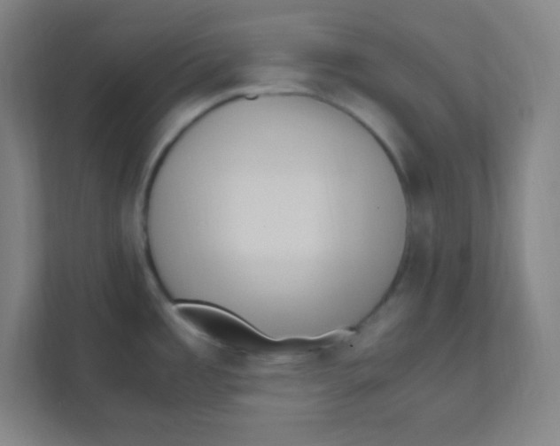 X0000111471485200908101105