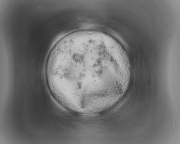 X0000111471487200908101104