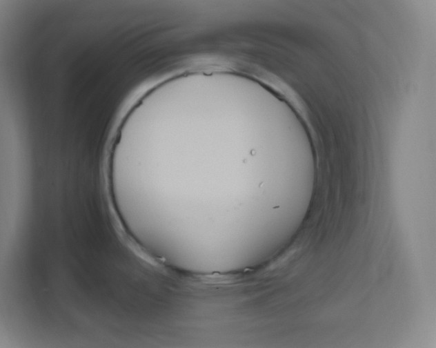 X0000111471488200908101104