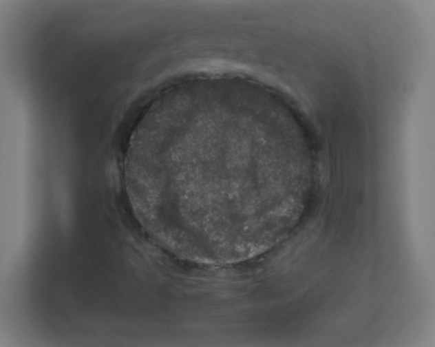 X0000111471493200908101104