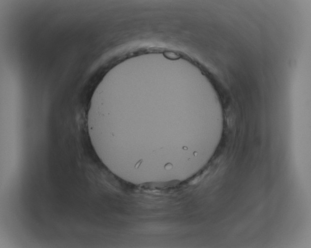 X0000111471495200908101104