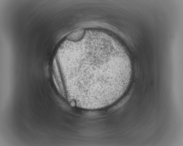 X0000111471497200908101104