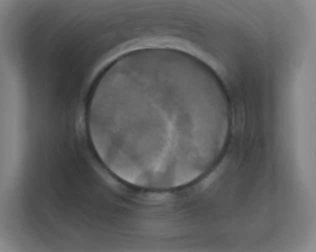 X0000111471498200908101104