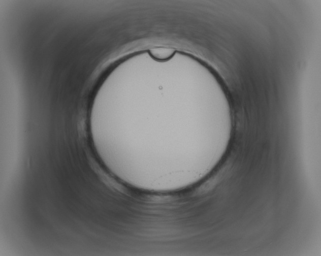 X0000111471499200908101104