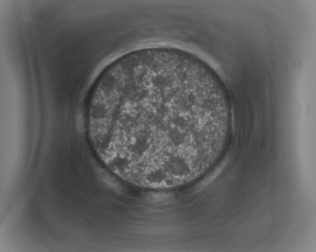 X0000111471501200908101104