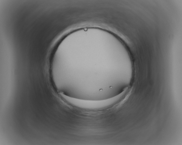 X0000111471502200908101104