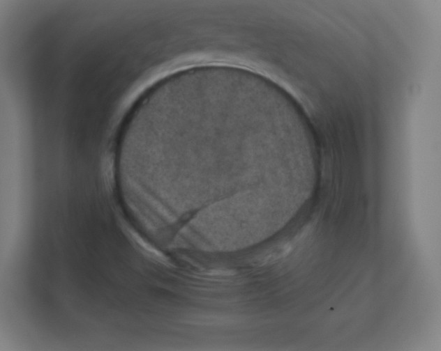 X0000111471503200908101104