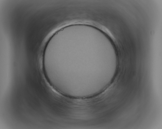 X0000111471504200908101104