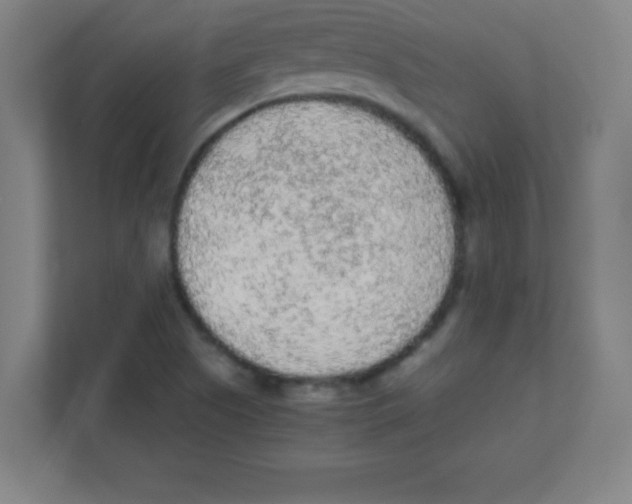 X0000111471505200908101104