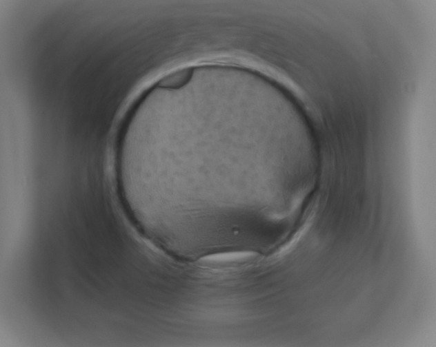 X0000111471506200908101104