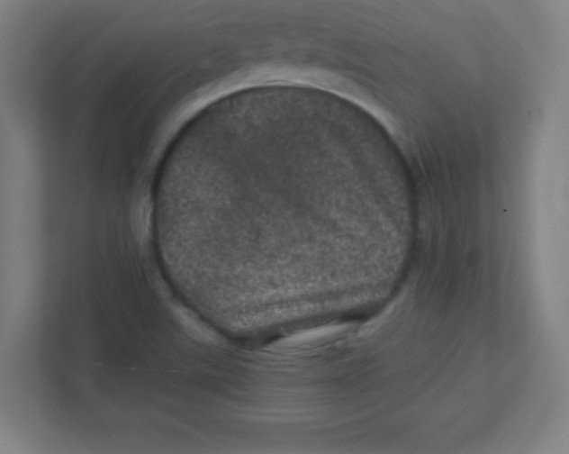 X0000111471507200908101104