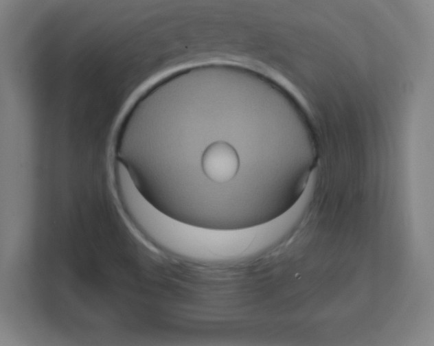 X0000111471508200908101104