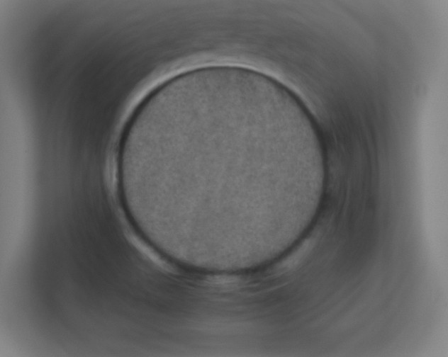 X0000111471511200908101104