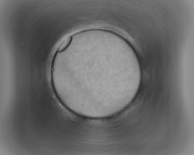 X0000111471512200908101104