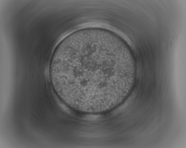 X0000111471513200908101104