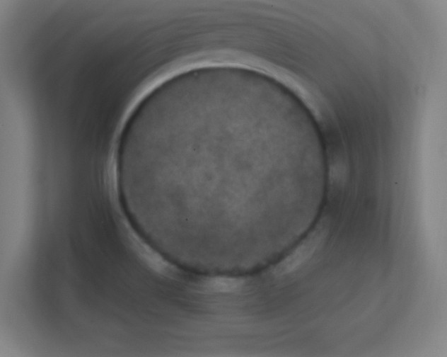 X0000111471514200908101104