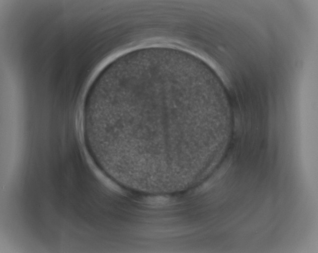 X0000111471515200908101104