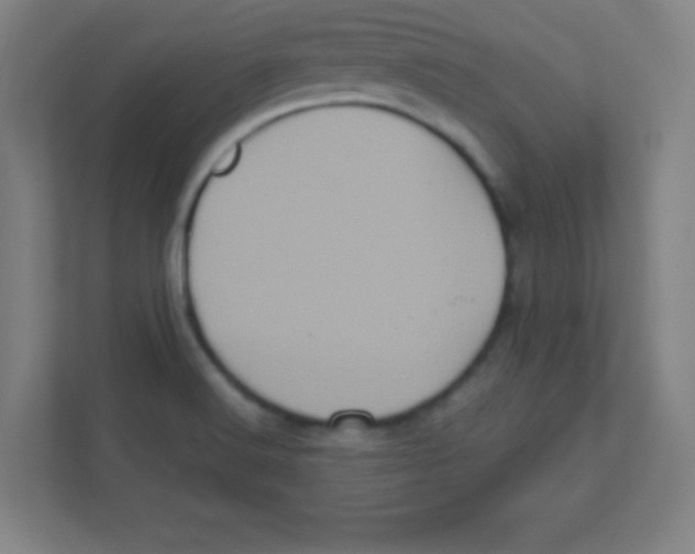 X0000111471516200908101104