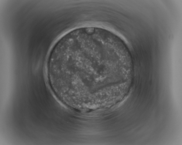 X0000111471517200908101104