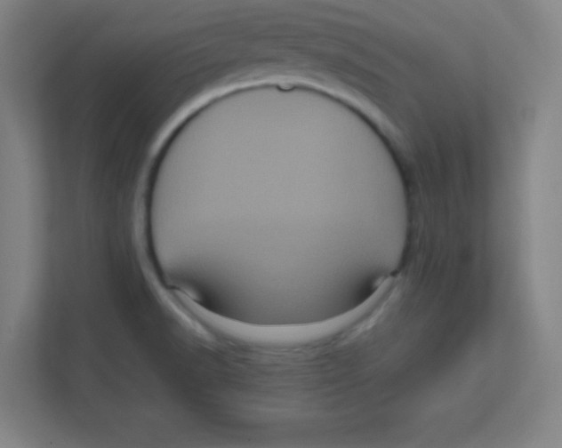 X0000111471518200908101104