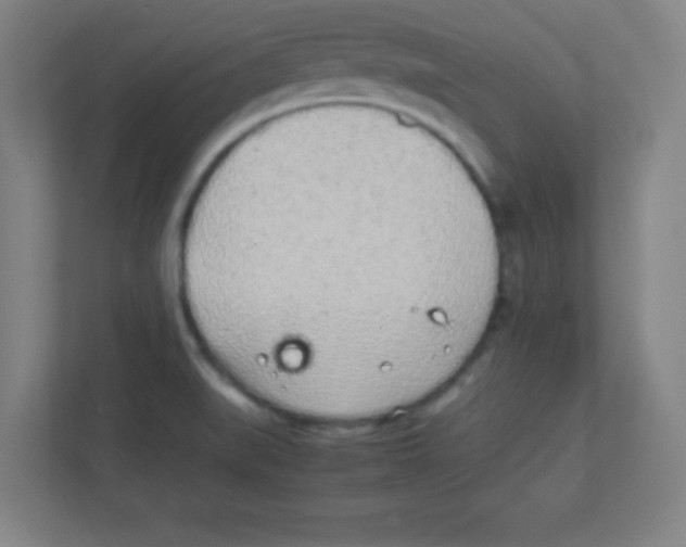 X0000111471519200908101104