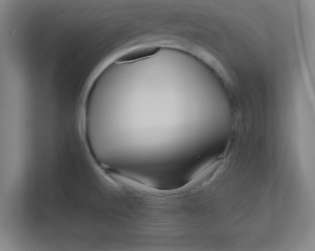 X0000111471520200908101104