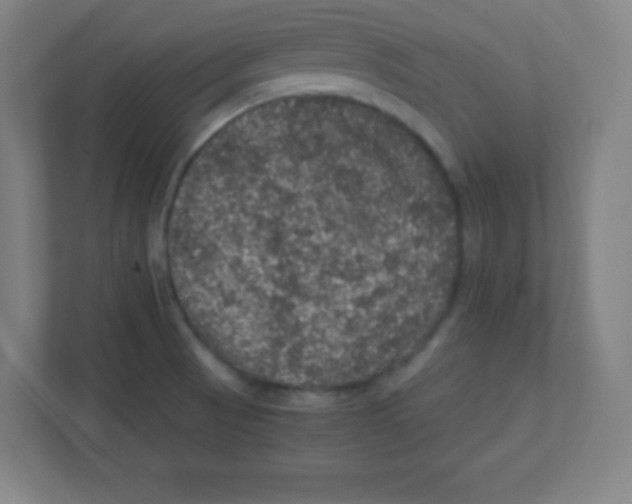 X0000111471521200908101104