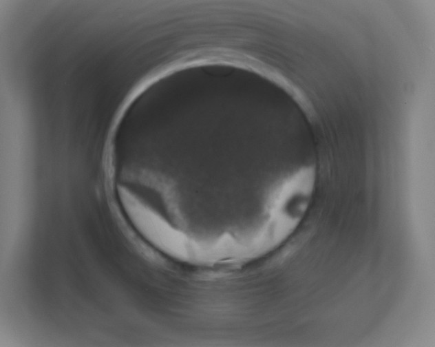 X0000111471522200908101104