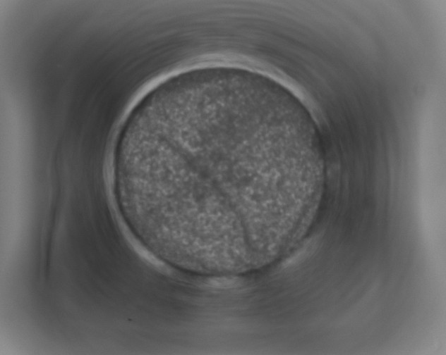 X0000111471523200908101104